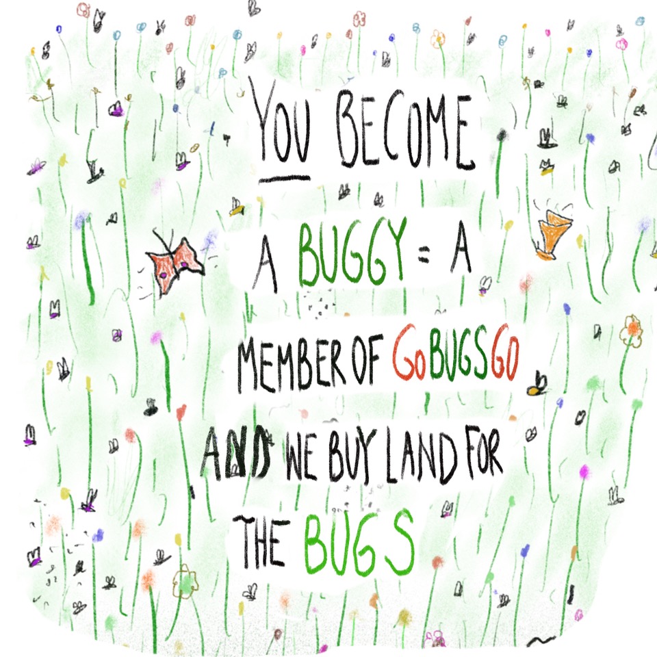you become a buggy (= member of gobugsgo) and we buy land for the bugs